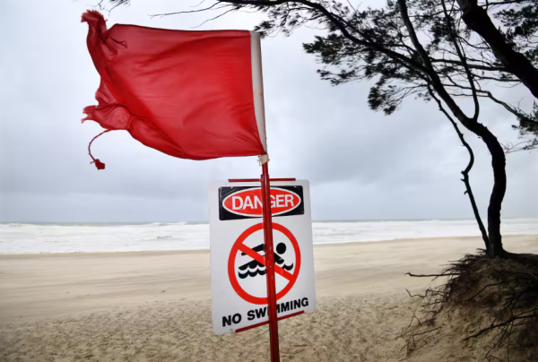 圖片來源:SBS 圖片來源:SBS