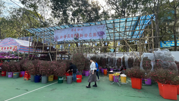 維園年宵2026｜維多利亞公園年宵市場2.11開鑼！必逛400個攤檔掃馬年精品/熟食（附交通/平面圖）