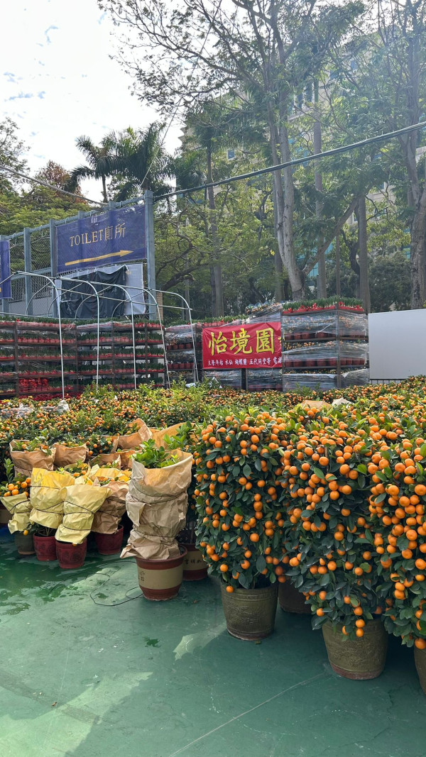 維園年宵2026｜維多利亞公園年宵市場2.11開鑼！必逛400個攤檔掃馬年精品/熟食（附交通/平面圖）