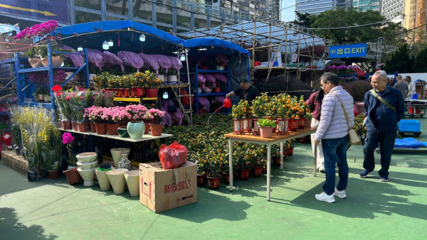 維園年宵2026｜維多利亞公園年宵市場2.11開鑼！必逛400個攤檔掃馬年精品/熟食（附交通/平面圖）