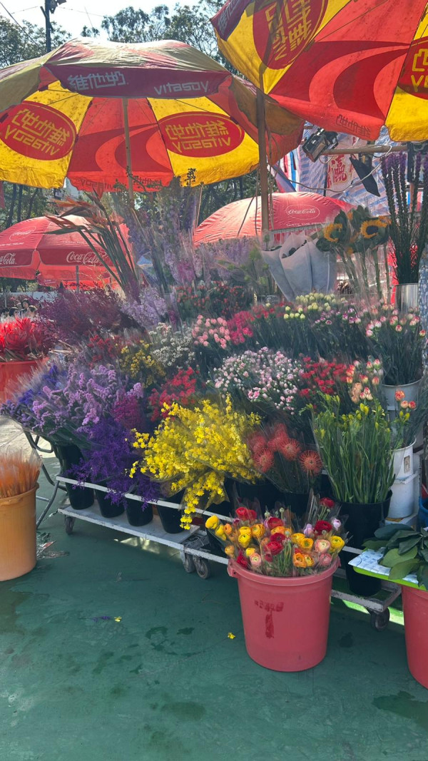 維園年宵2026｜維多利亞公園年宵市場2.11開鑼！必逛400個攤檔掃馬年精品/熟食（附交通/平面圖）