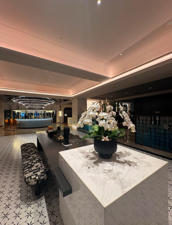 照片來源：小紅書@威治伍德