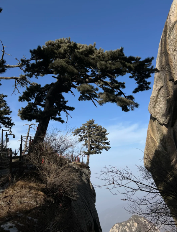 照片來源：小紅書@小唯