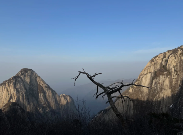 照片來源：小紅書@小唯