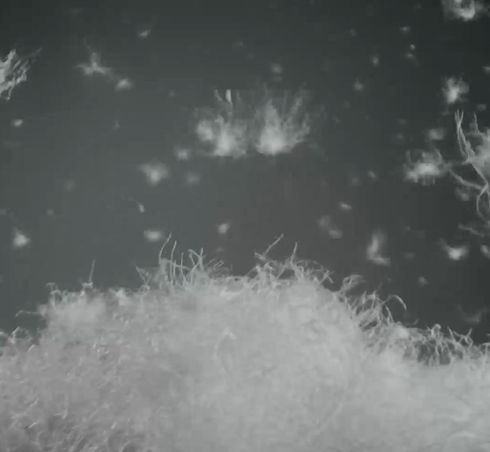 圖片來源:uniqlo 圖片來源:uniqlo