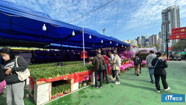 維園年宵2026｜維多利亞公園年宵市場2.11開鑼！必逛400個攤檔掃馬年精品/熟食（附交通/平面圖）