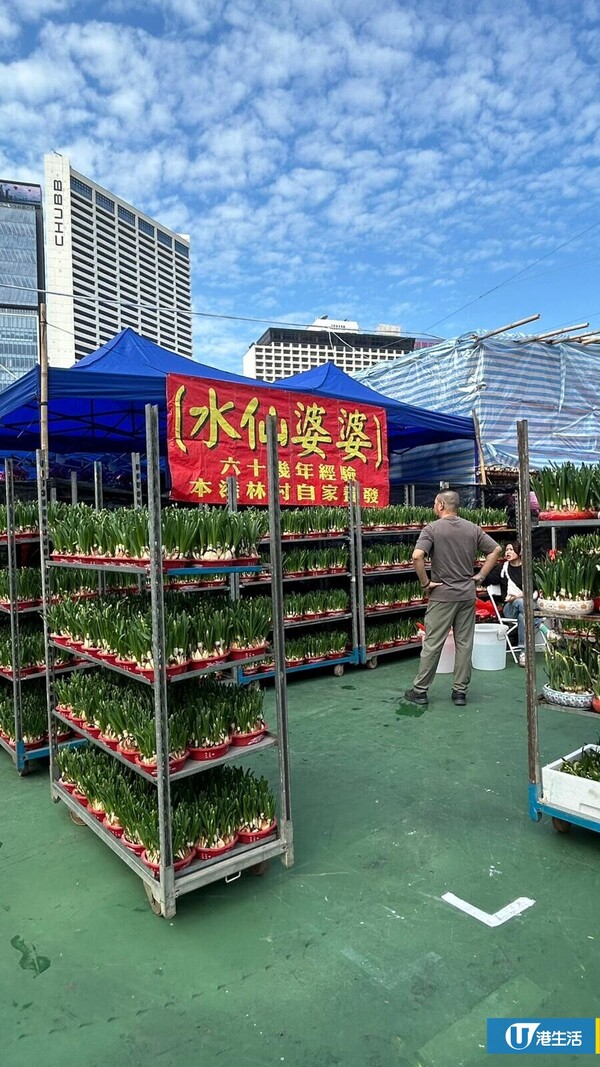 維園年宵2026｜維多利亞公園年宵市場2.11開鑼！必逛400個攤檔掃馬年精品/熟食（附交通/平面圖）