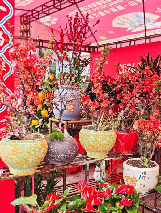 圖片來源：小紅書@吃喝玩樂in坪山