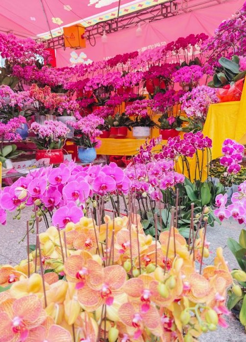 圖片來源：小紅書@吃喝玩樂in坪山