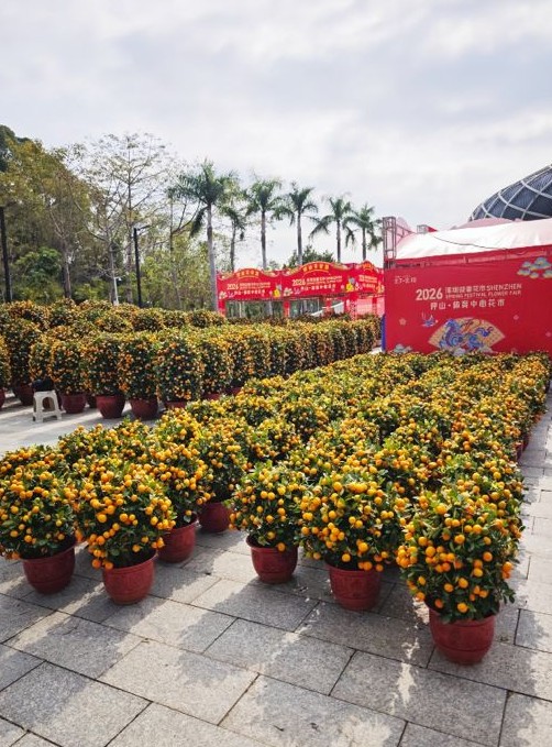 圖片來源：小紅書@吃喝玩樂in坪山