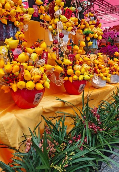 圖片來源：小紅書@吃喝玩樂in坪山