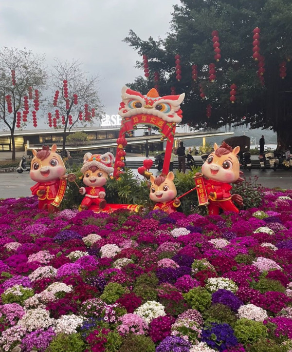 圖片來源：小紅書@跳跳py4