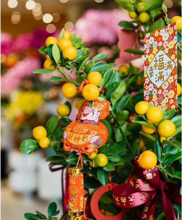 圖片來源：小紅書@Shenzhenweekly