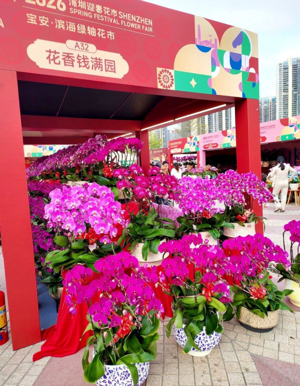 圖片來源：小紅書@我丫