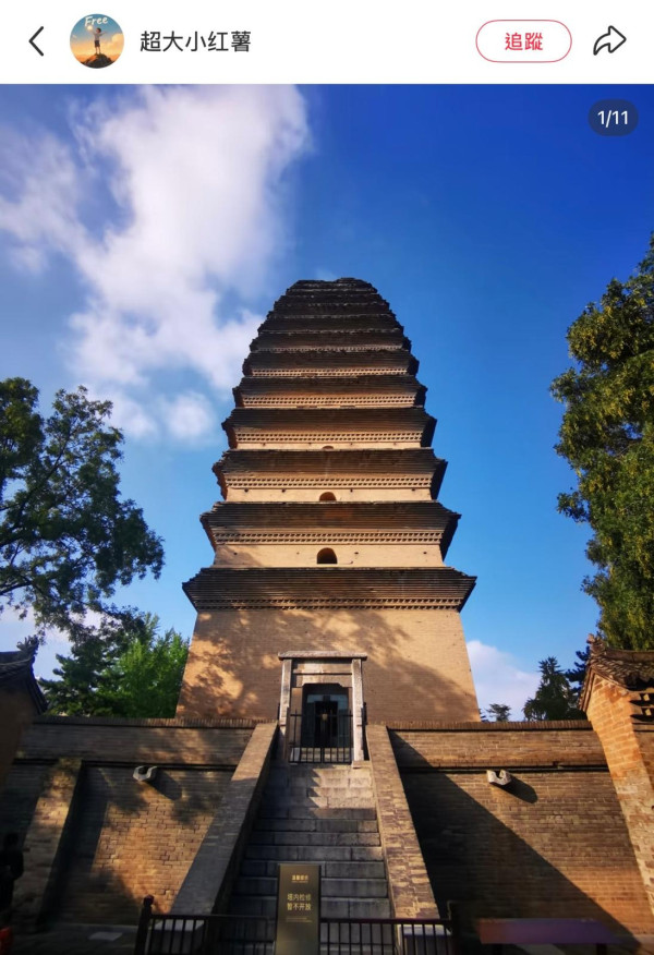 照片來源：小紅書@超大小紅薯