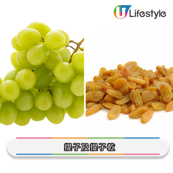 新年寵物食物禁忌2026｜盤點10種毛孩新春禁忌食物！提子、年糕隨時攞命？誤食恐急性腎衰竭