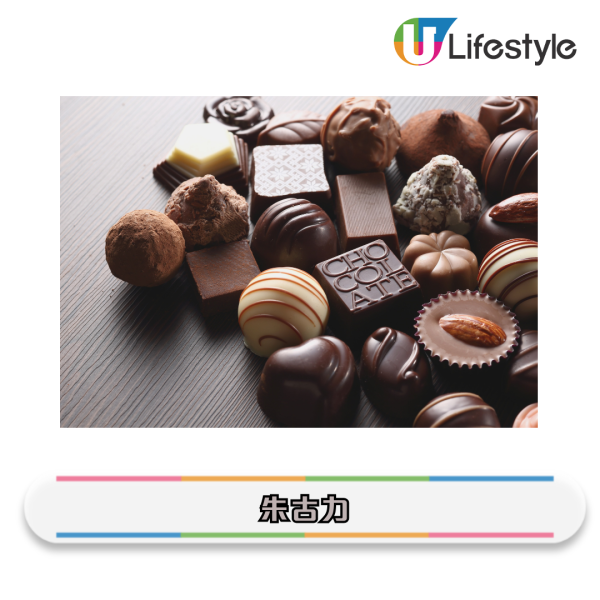 新年寵物食物禁忌2026｜盤點10種毛孩新春禁忌食物！提子、年糕隨時攞命？誤食恐急性腎衰竭