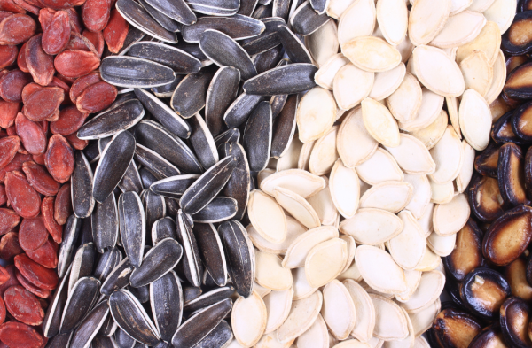 圖片來源：Canva