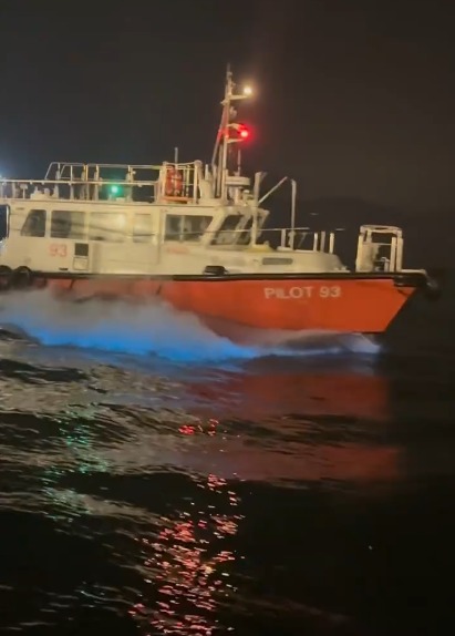 香港藍眼淚大爆發！數碼港至中環現「超亮」螢光海 美麗背後藏危險訊號？