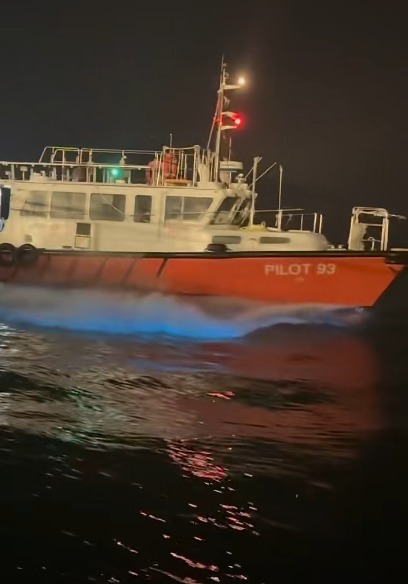 香港藍眼淚大爆發！數碼港至中環現「超亮」螢光海 美麗背後藏危險訊號？