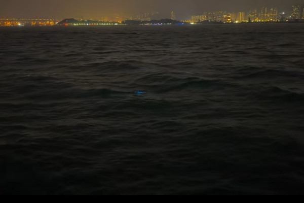 香港藍眼淚大爆發！數碼港至中環現「超亮」螢光海 美麗背後藏危險訊號？