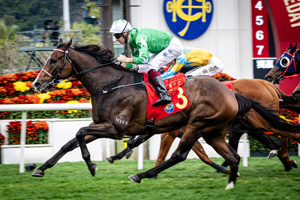 馬年賽馬日2026︰馬年盃（圖片來源︰香港賽馬會）