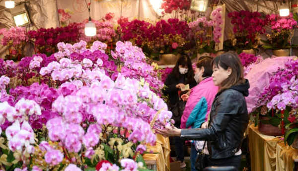 照片來源：小紅書@香港展览演出bot