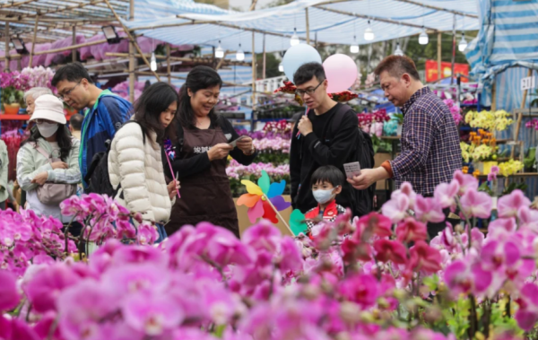 照片來源：小紅書@香港展览演出bot