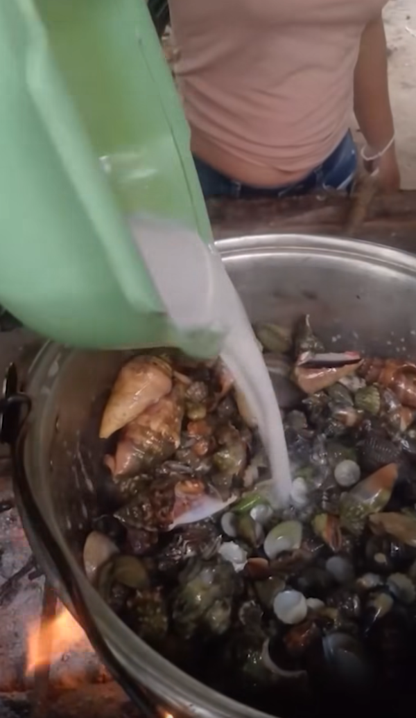 圖片來源：new york post