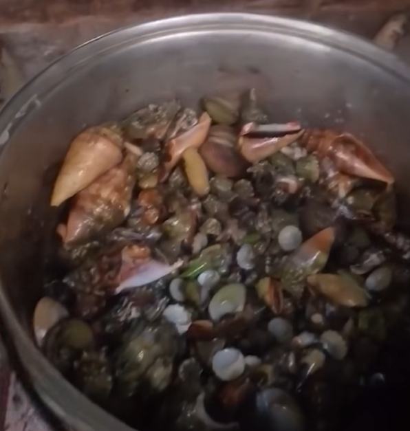 圖片來源：new york post