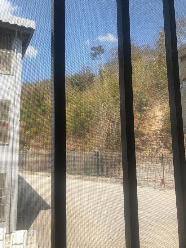 緬甸KK園區2.0「青松園區」曝光！雙重鐵網囚人質 港人遊泰緬小心人身安全 