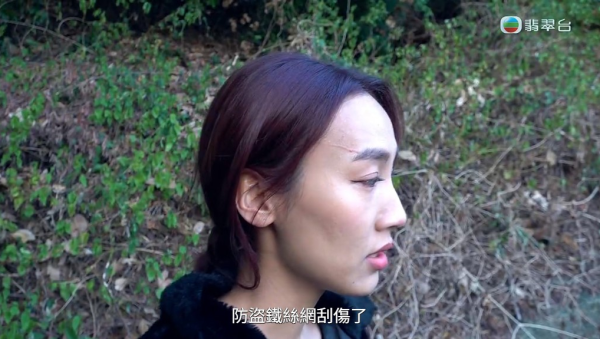 東張女神黎寬怡追訪變態裸男險毀容！鐵網刮面現長血痕傷勢曝光需打破傷風