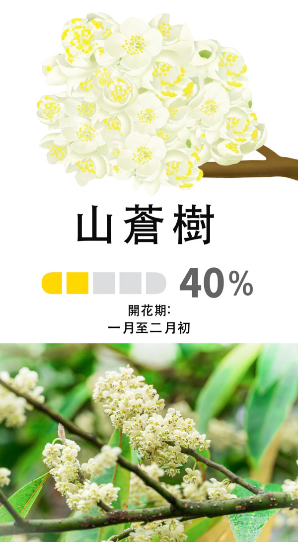 嘉道理農場4大花海盛放！鐘花櫻桃、梅花、吊鐘花點分辨？ 附2月開放日期+交通方法