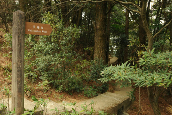 嘉道理農場4大花海盛放！鐘花櫻桃、梅花、吊鐘花點分辨？ 附2月開放日期+交通方法