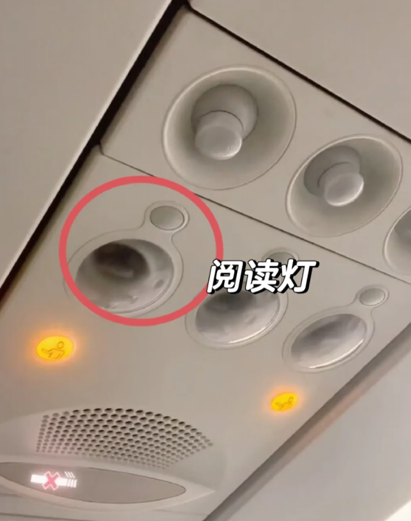 照片來源：小紅書@欣享国际票务