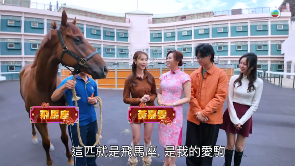 馬年賽馬日2026|馬年盃排位表/重點場次/開賽時間!數據心水分析+過去十屆冠軍一覽