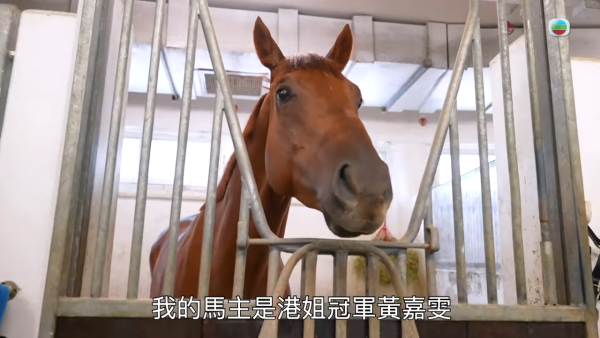 馬年初三賽馬日2026｜專家教1招馬場貼中頭馬！幸運數字/顏色/出門位置都有講究