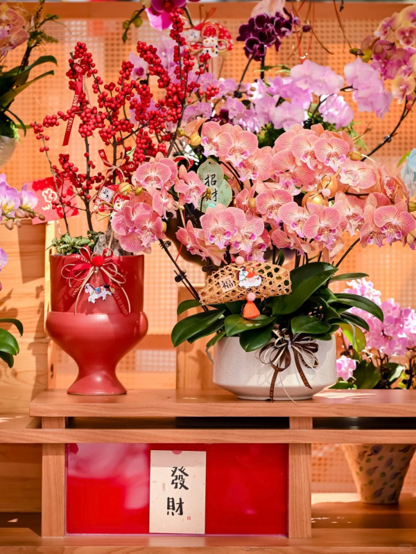 深圳商場2026|過年北上必睇!10大商場新春安排 部分商場餐廳/超市/戲院調整營業時間