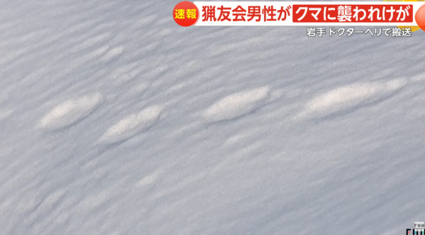 照片來源：YouTube@FNNプライムオンライン