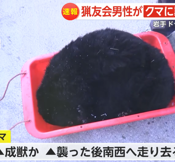 照片來源：YouTube@FNNプライムオンライン