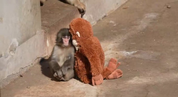 圖片來源:X @BlueSkyBlue67 圖片來源:X @BlueSkyBlue67