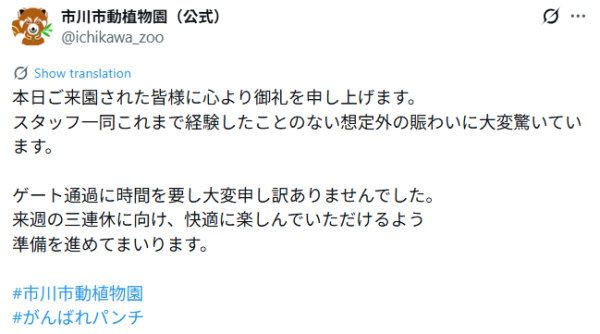 日本千葉動物園馬騮仔拖「毛公仔媽媽」爆紅!孤單背影惹遊客憐愛排長龍探望