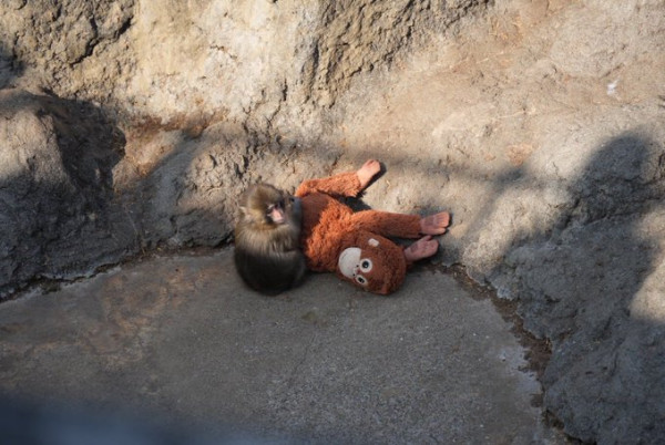 圖片來源:X @SMMoupXejB10442 圖片來源:X @SMMoupXejB10442