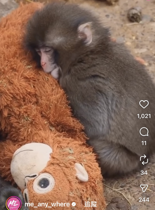 圖片來源: me_any_where 圖片來源: me_any_where