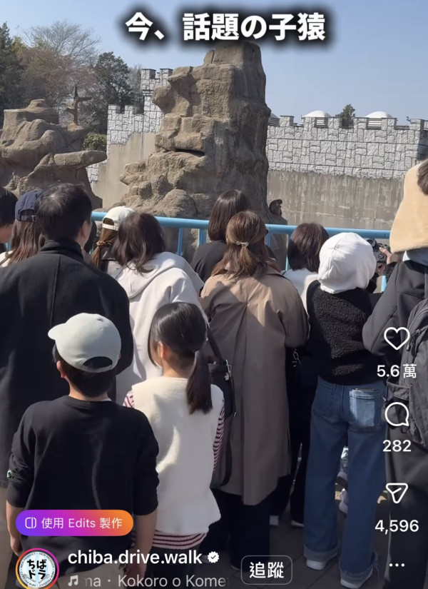 圖片來源: chiba.drive.walk 圖片來源: chiba.drive.walk