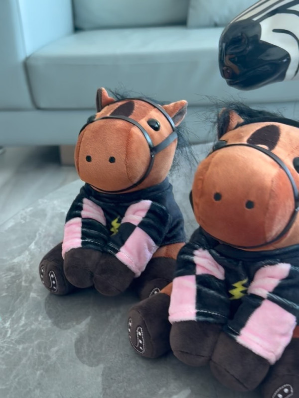 富貴港姐新年送禮曝光半億豪宅！巨型客廳放兩米桃花樹 1800呎空間感極大