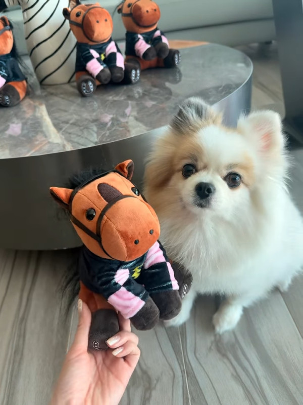 富貴港姐新年送禮曝光半億豪宅！巨型客廳放兩米桃花樹 1800呎空間感極大