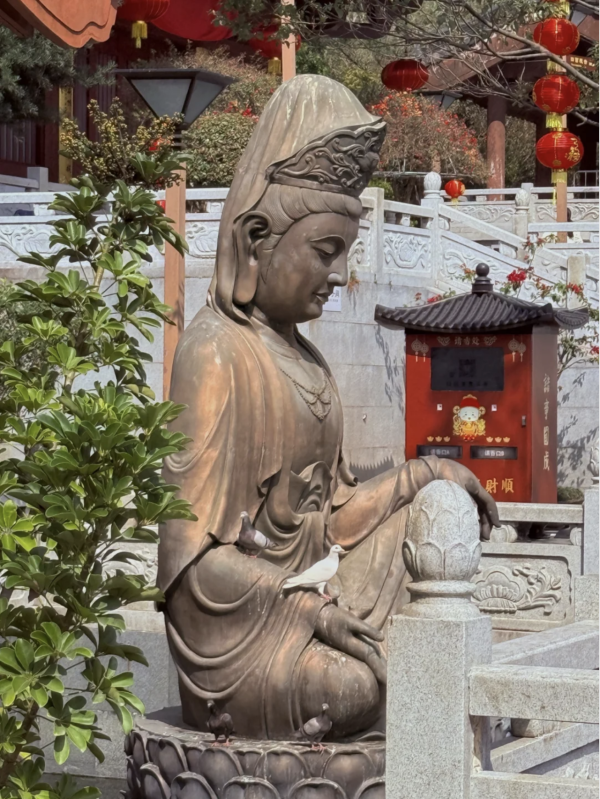 大華興寺(圖片來源:小紅書@豬柳蛋麥滿分走豬) 【深圳行大運5大秘境】鹽田龍崗1日遊︰8米發財樹打卡、拜金觀音深圳最高旺足全年