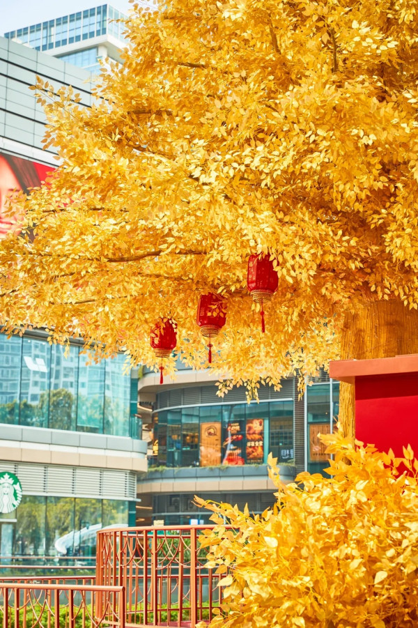 仁恆夢中心(圖片來源:小紅書@仁恆夢中心) 【深圳行大運5大秘境】鹽田龍崗1日遊︰8米發財樹打卡、拜金觀音深圳最高旺足全年