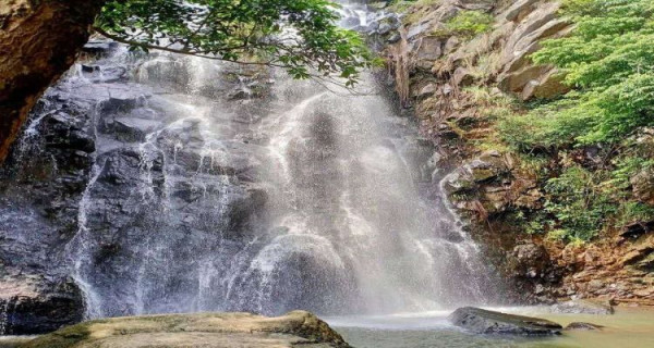 馬巒山郊野公園(圖片來源:深圳市城市管理和綜合執法局) 【深圳行大運5大秘境】鹽田龍崗1日遊︰8米發財樹打卡、拜金觀音深圳最高旺足全年